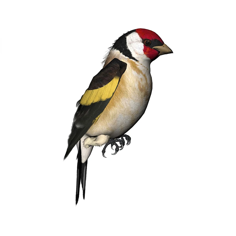 New Design for Tinsel Finches  - Tinsel Garland Decoration 评论和价格